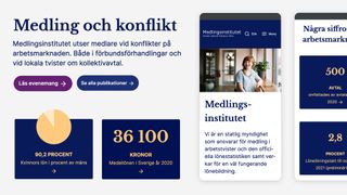 Medlingsinstitutets webbplats gör lönestatistik lättillgänglig för alla