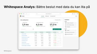 Whitespace Analys: bättre beslut med data du kan lita på